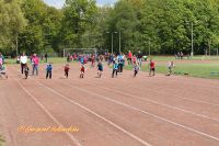 img_4203